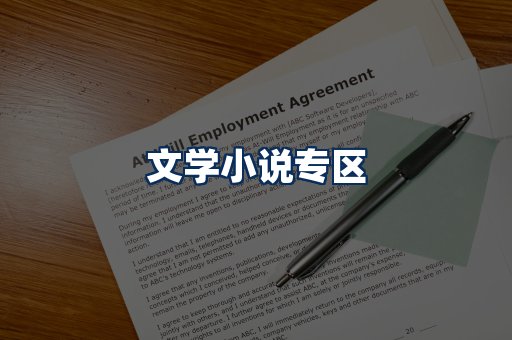 文学小说PDF展示